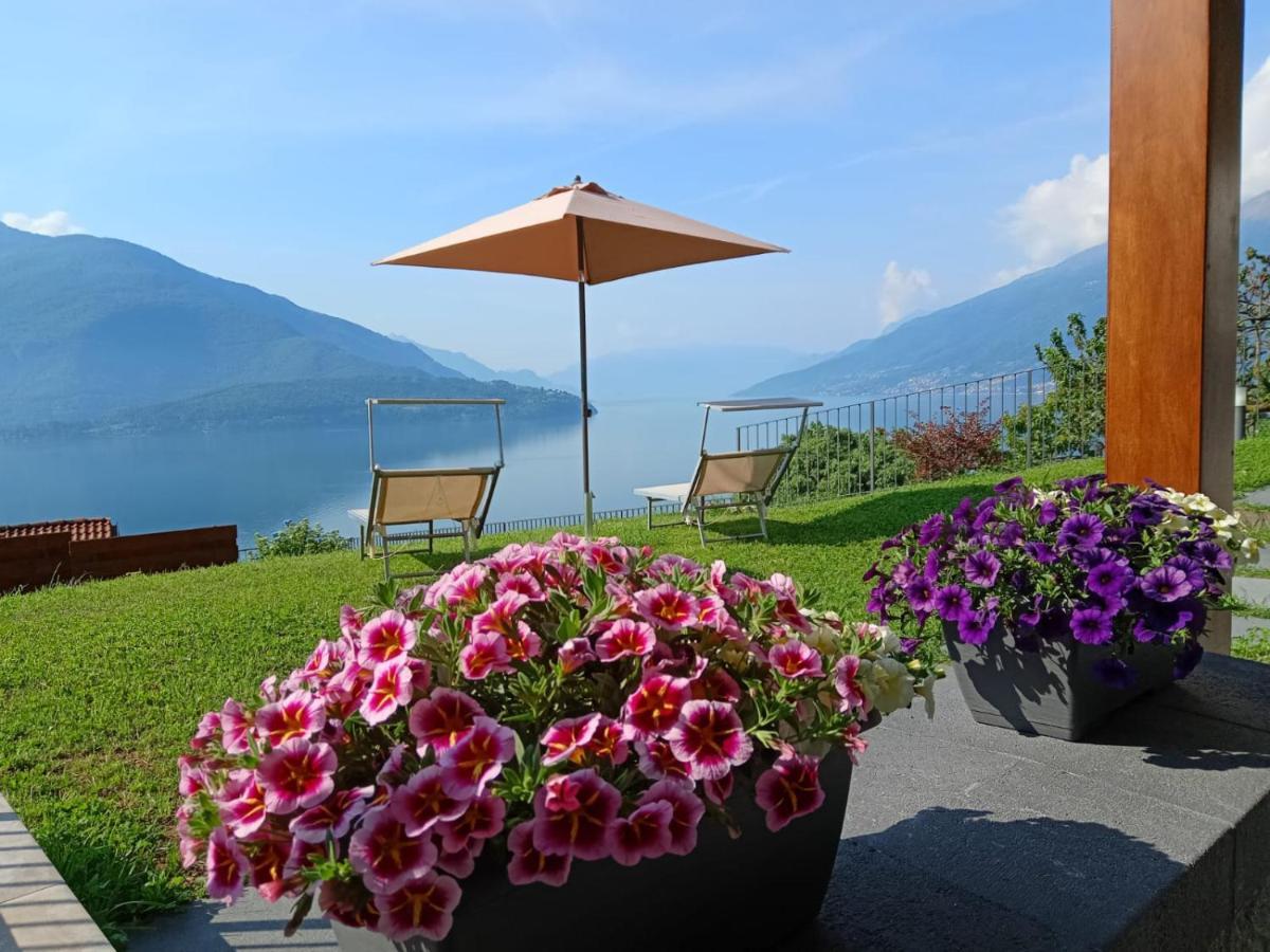 Ca' Del Barba Apartment โดมาโซ ภายนอก รูปภาพ